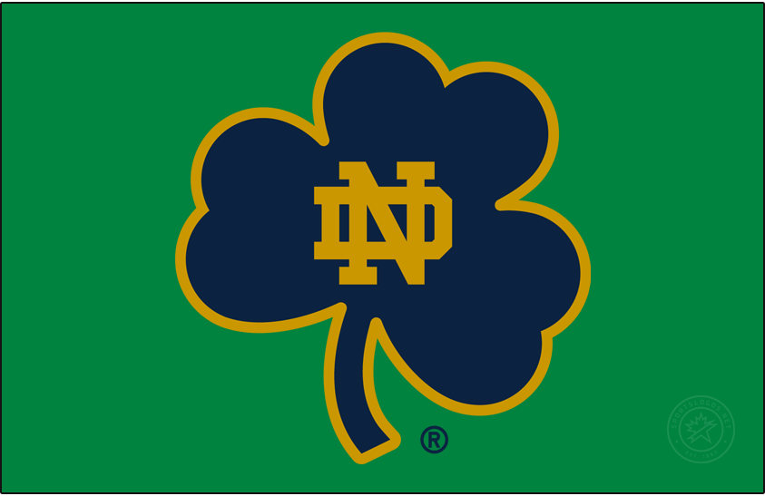 Notre Dame Fighting Irish 2015-Pres Secondary Logo v5 DIY iron on transfer (heat transfer)